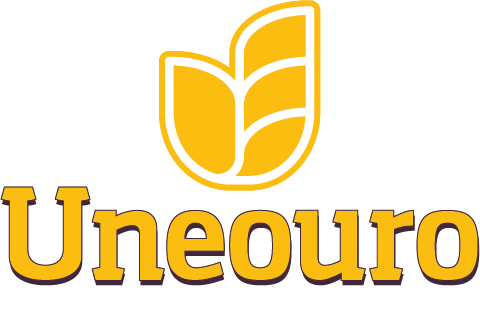 CURSO DE INGLÊS – CONVERSAÇÃO – Faculdade Uneouro